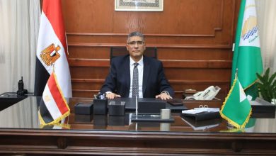 المهندس عادل النجار - محافظ الجيزة